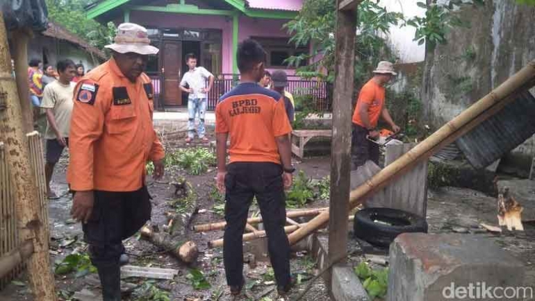 Angin Kencang Terjang 5 Kecamatan di Jember