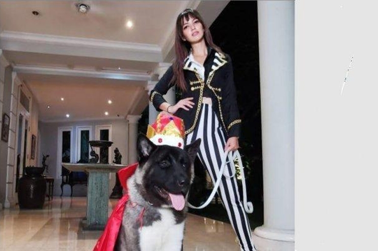 8 Momen Kemeriahan Pesta Ultah Anjing Nia Ramadhani, Tamunya Keluarga Bakrie