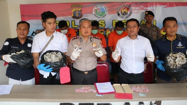 Polisi Tangkap 3 Spesialis Pencuri Sarang Walet Senilai Rp 100 Juta di Berau
