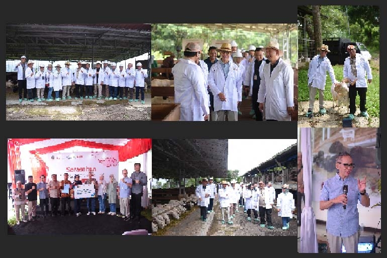 EKOSISTEM PEMBIAYAAN PETERNAK DOMBA YANG DIINISIASI OJK MULAI MENUNJUKKAN HASIL
